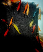 Rainbow Skittles Shrimp